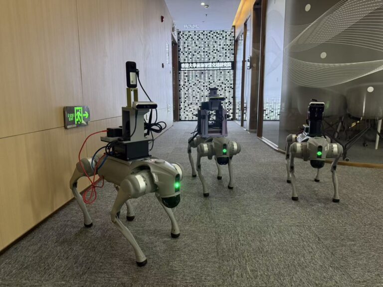 Dog_shenzhen